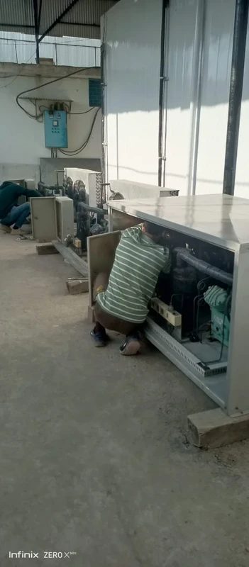 Bitzer 1
